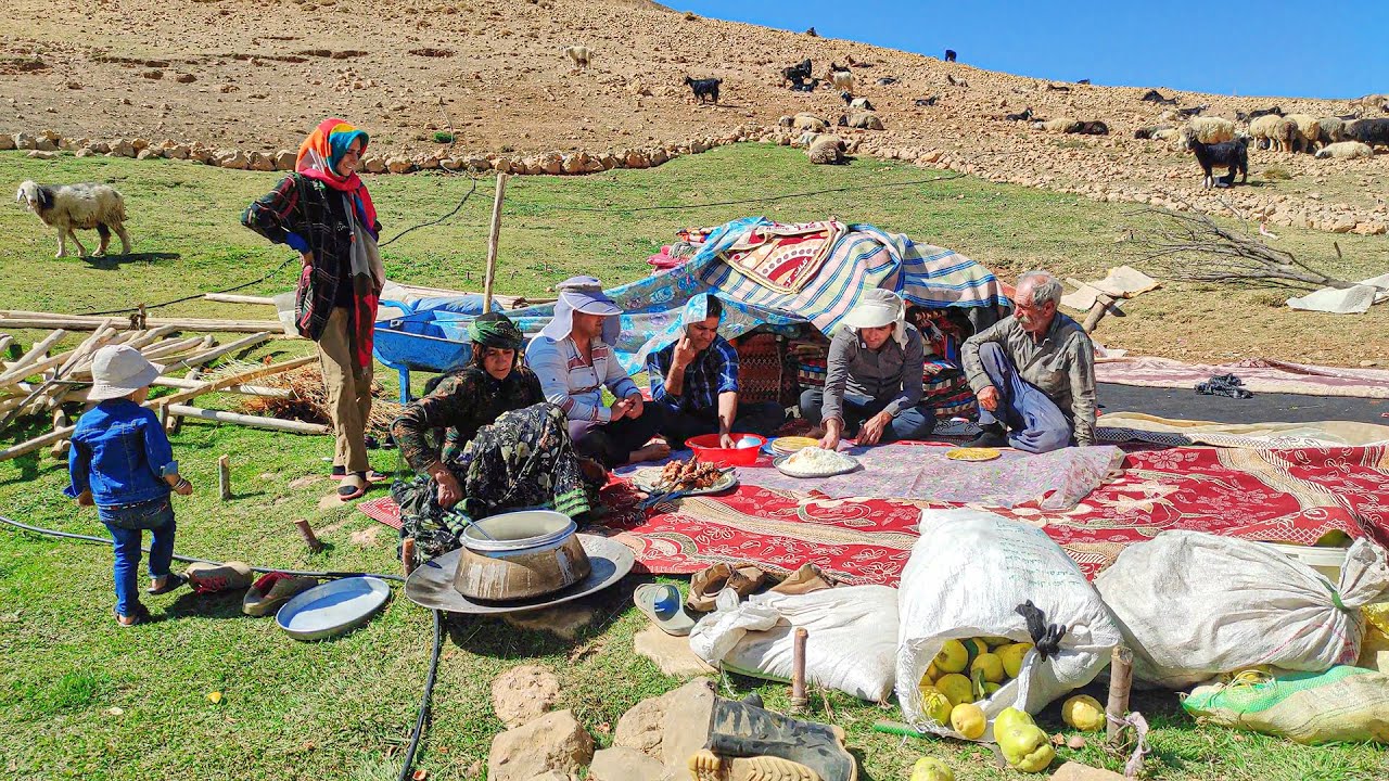 NOMAD OF IRAN: The time of migration has come and the hard-working nomad woman gathers black tent 4k