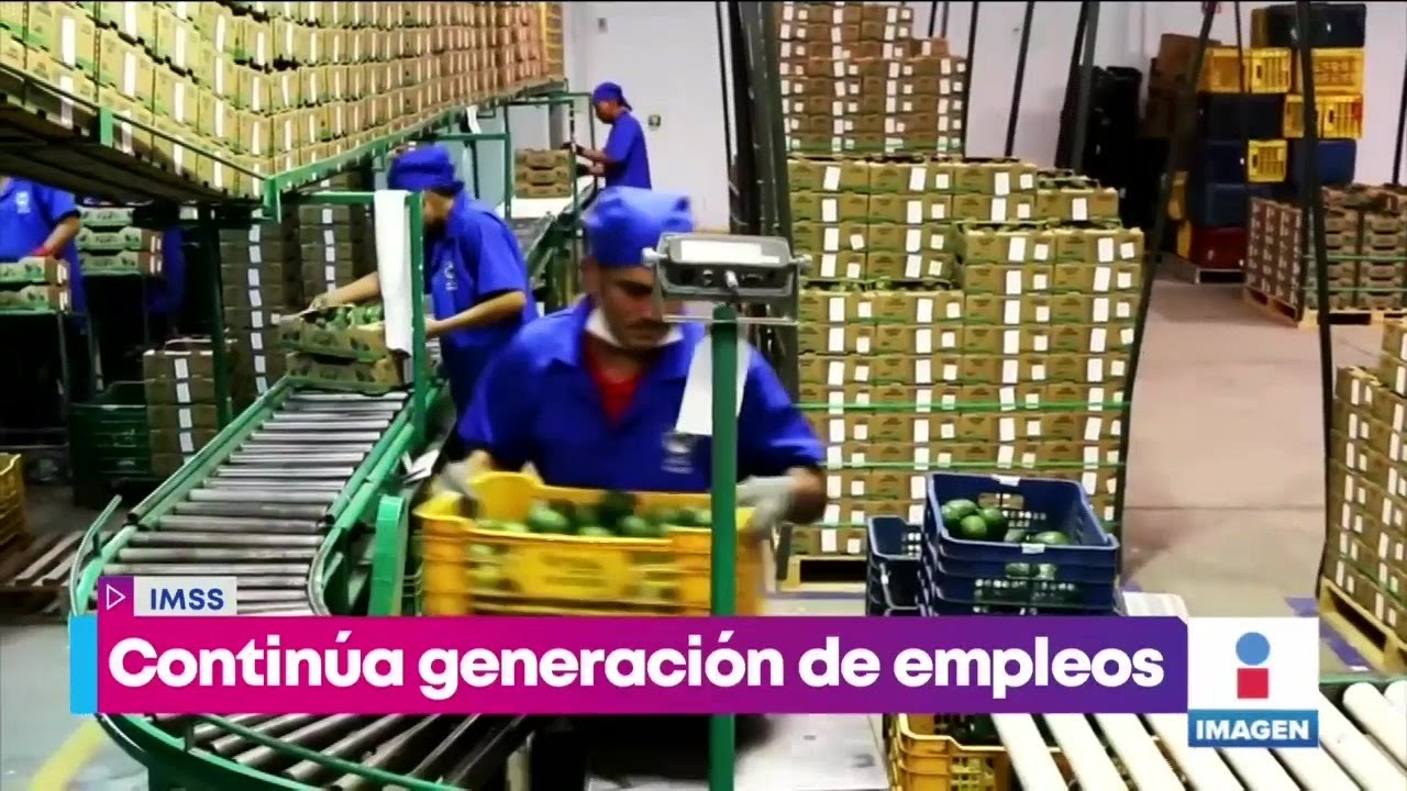 Pese a la pandemia, continúa la generación de empleos formales: IMSS | Noticias con Yuriria Sierra