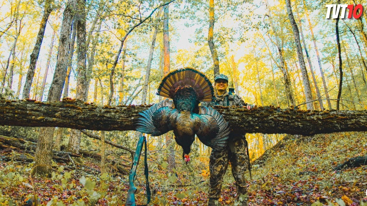 It's NEVER THIS EASY!! - Public Land GOBBLER in the SOUTH!