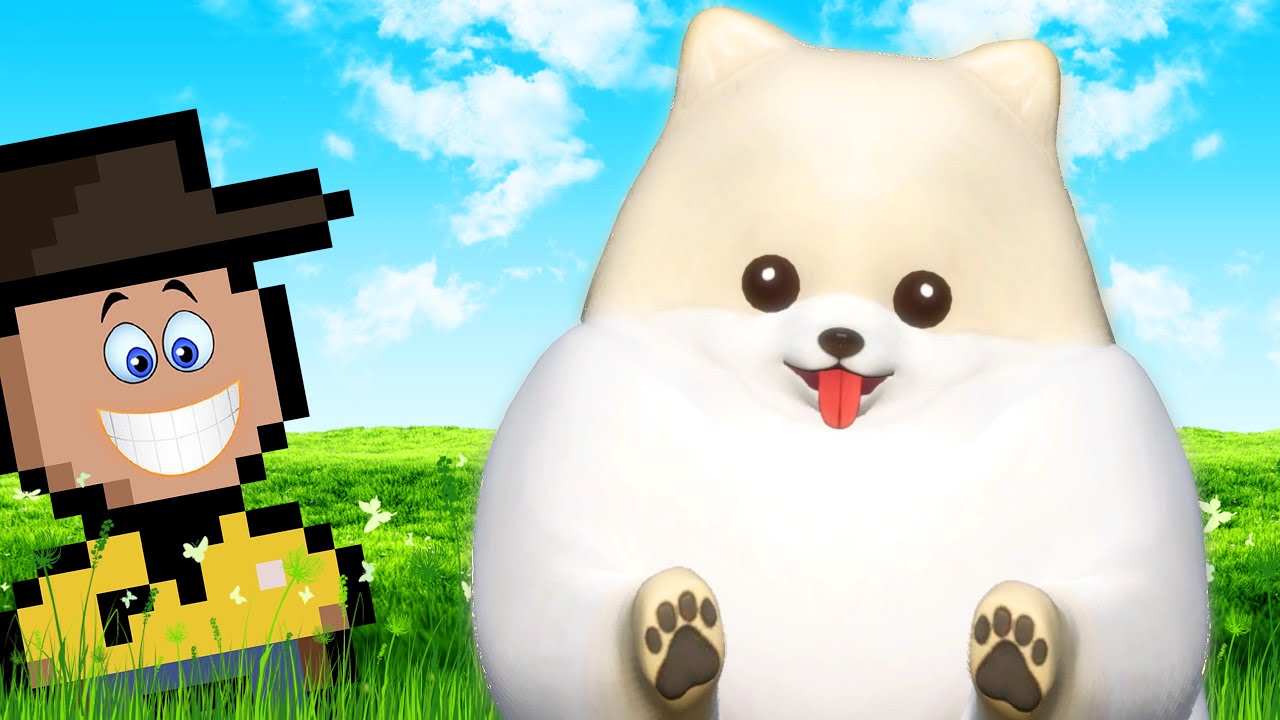 SOU O POMERANIA MAIS BAGUNCEIRO!!! (Doronko Wanko)