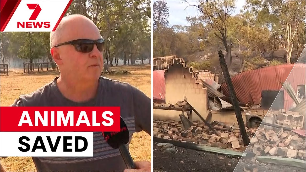 'It just went mental': Neighbour saves animals as bushfire destroys home in Victoria | 7NEWS