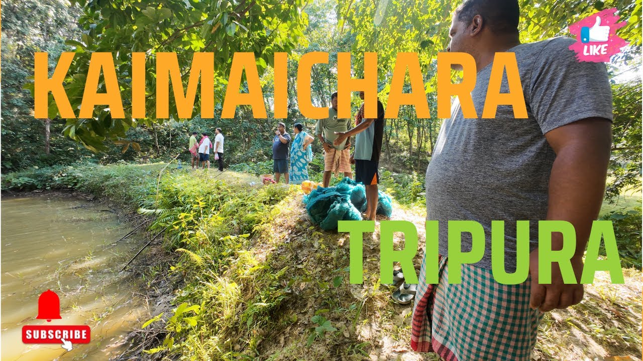 Village Life Vlog 🌾 | Family Time, Fish Catching & Fresh Vegetable Harvest in Kaimaichara, Tripura