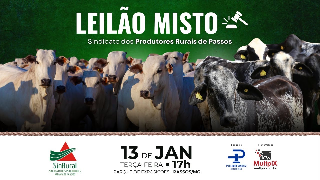 🐄 Leilão do Sindicato Rural de Passos/MG - 📲 multpix.com.br