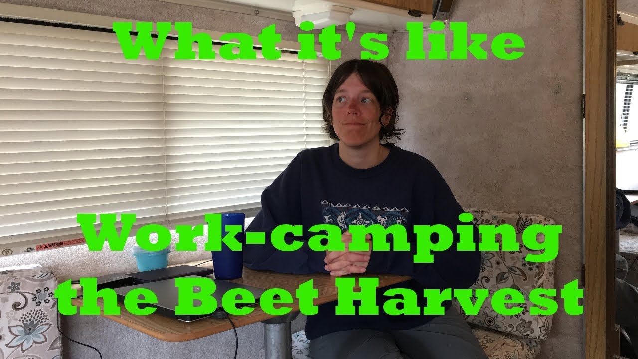 Is Working The Beet Harvest Worth It?