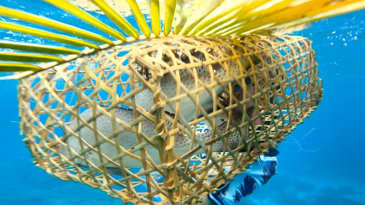 small FISH-TRAP pero puro malalaki Yung mga nahuhuli