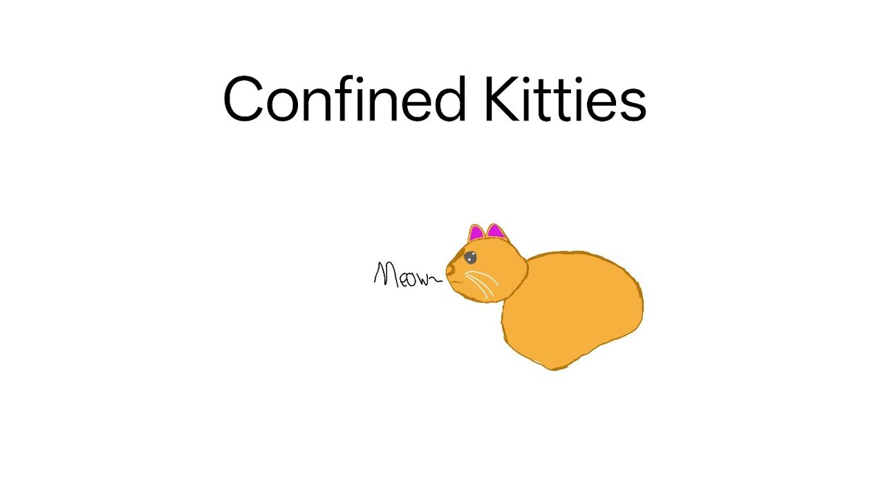 Playing 'Confined Kitties'!