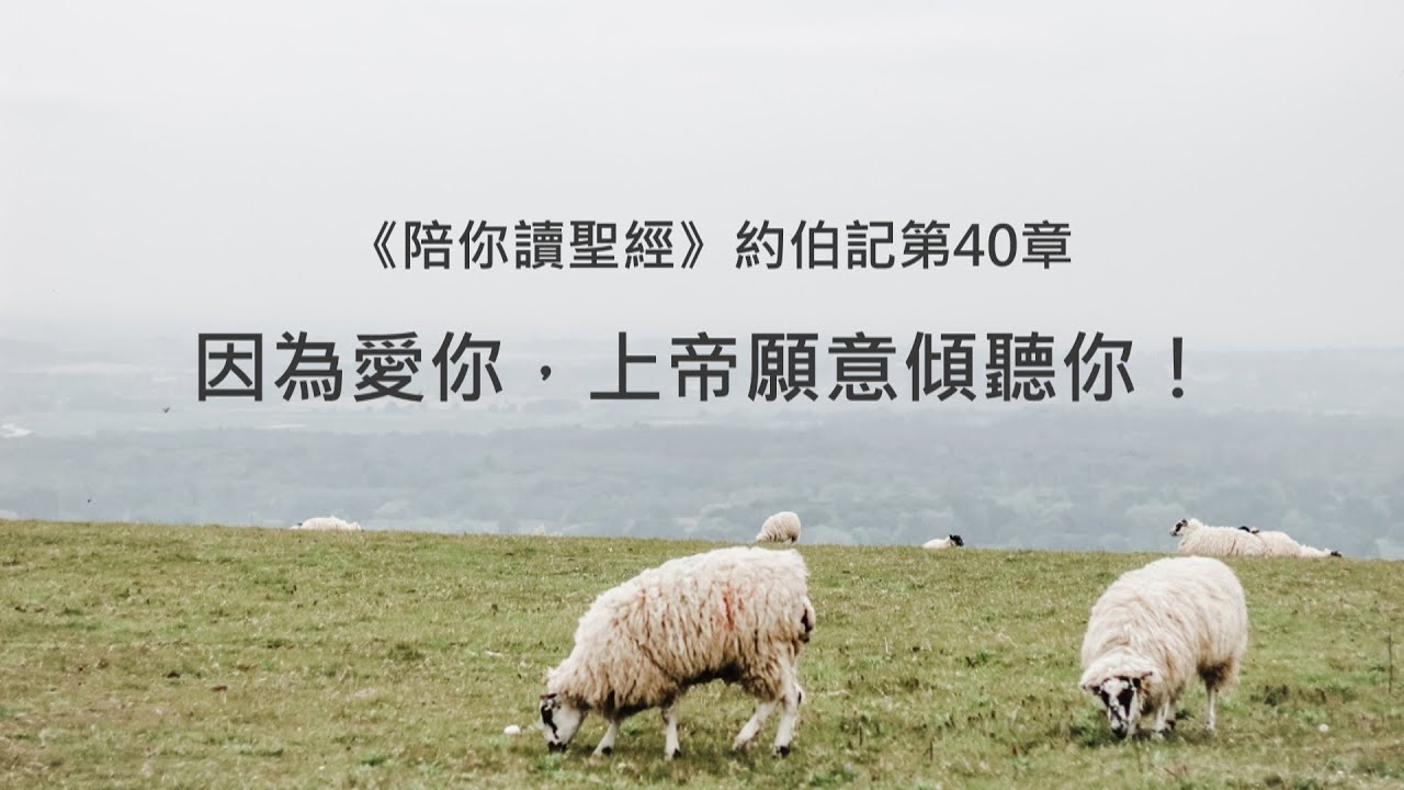 約伯記40章/陪你讀聖經《因為愛你，上帝願意傾聽你！》