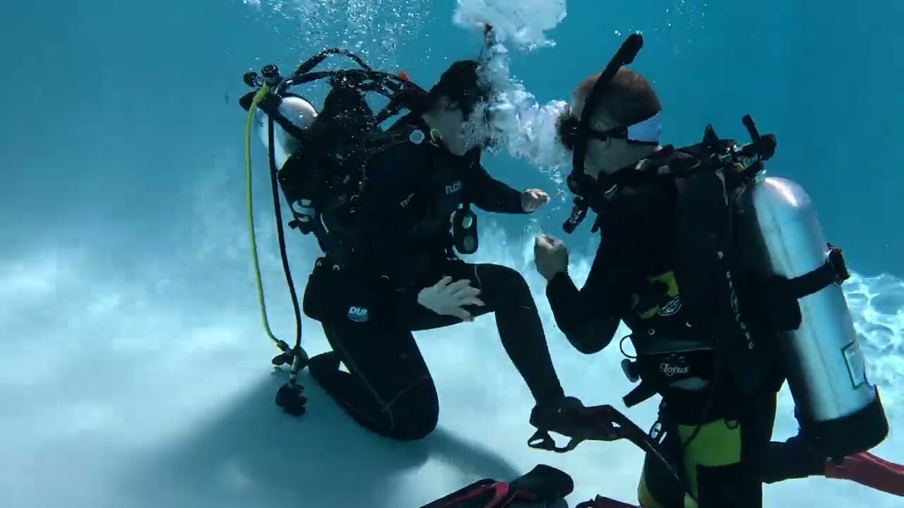 Dive Master 2025 (Equipment Exchange)