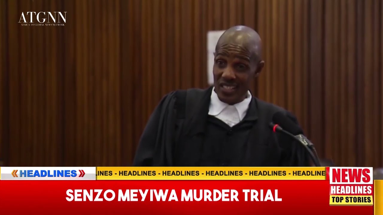 WATCH: Adv. Charles Mnisi asks state witness the conducted  Col Mangena  #SenzoMeyiwatrial