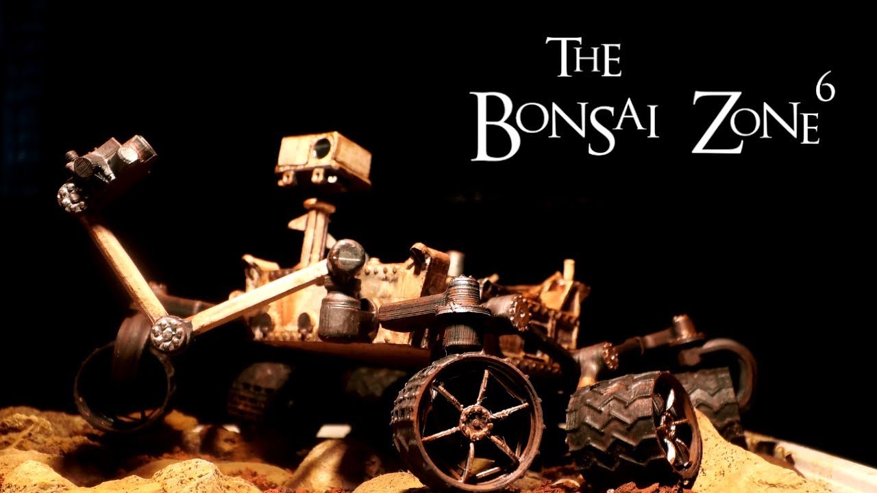 Growing Trees on Mars, Spring Update, The Bonsai Zone, June 2019