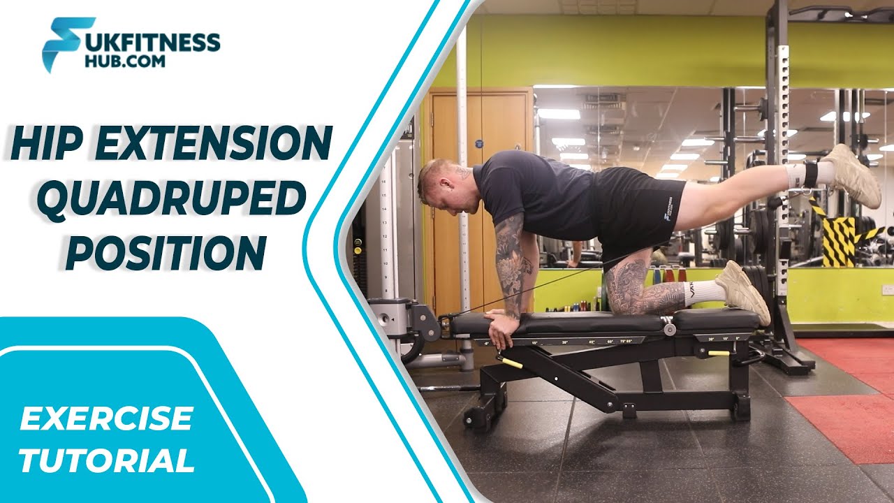 Exercise Tutorial: Hip Extension Quadruped Position