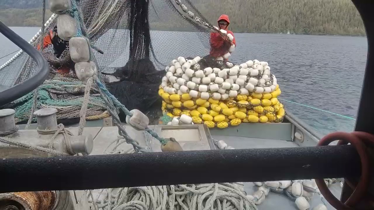 Stalking the net 