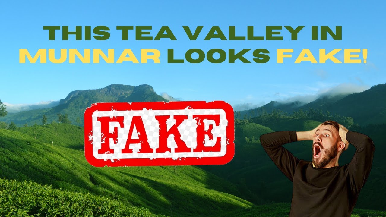 MUNNAR: India's Switzerland. Hidden Spots, Cheap Thrills & Dreamy Views!