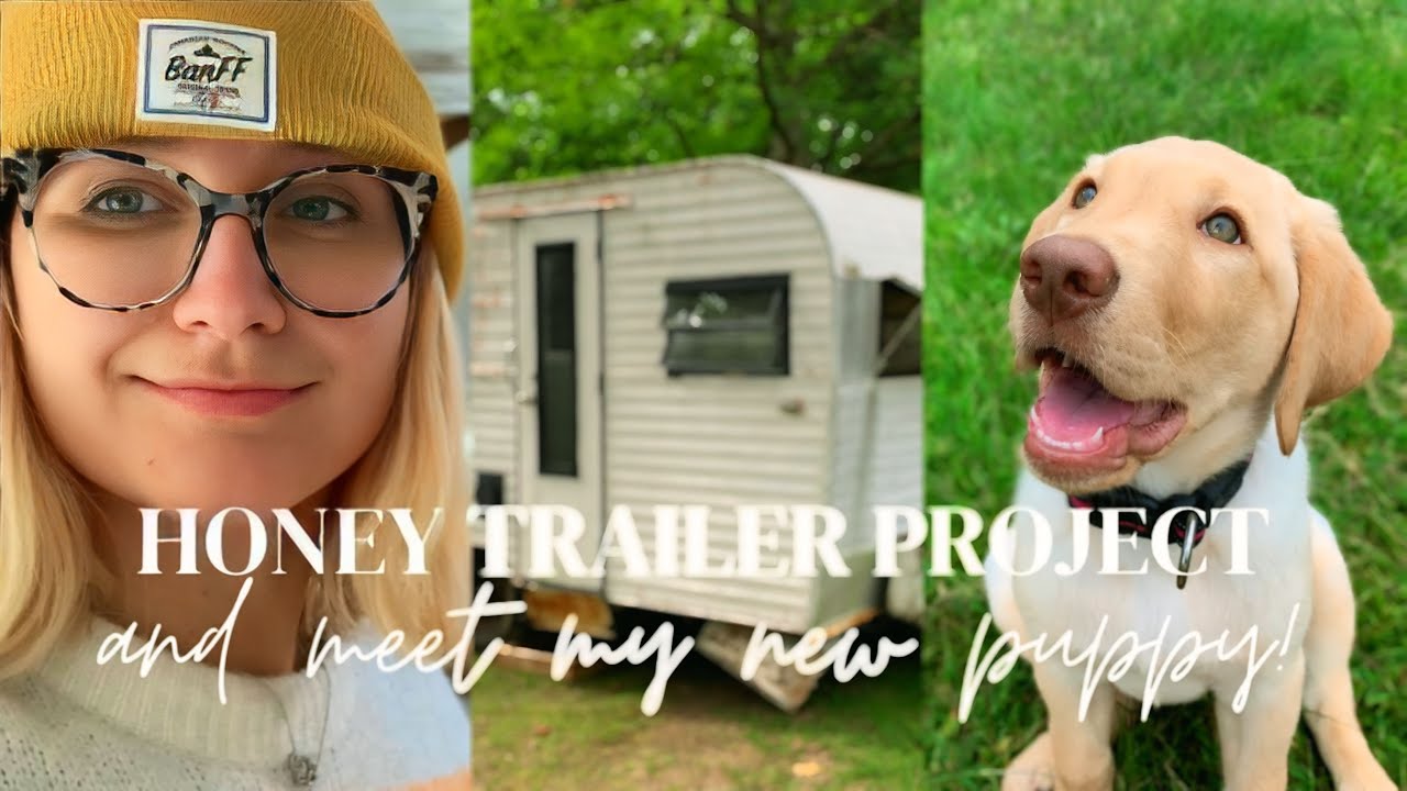 1968 Roadrunner Trailer Renovation | Transforming into My Honey House for Beekeeping Crafts & More!