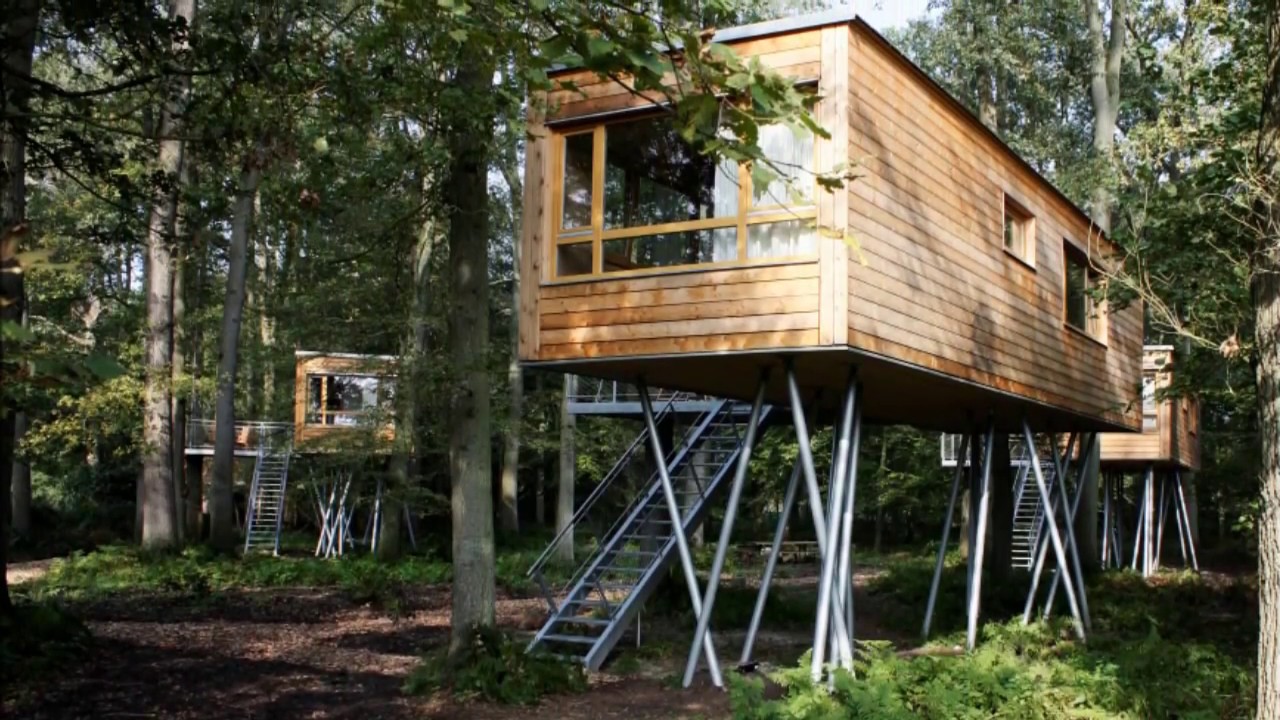 Urlaub im Baumhaus in Bad Zwischenahn bei Baumgefl&uuml;ster