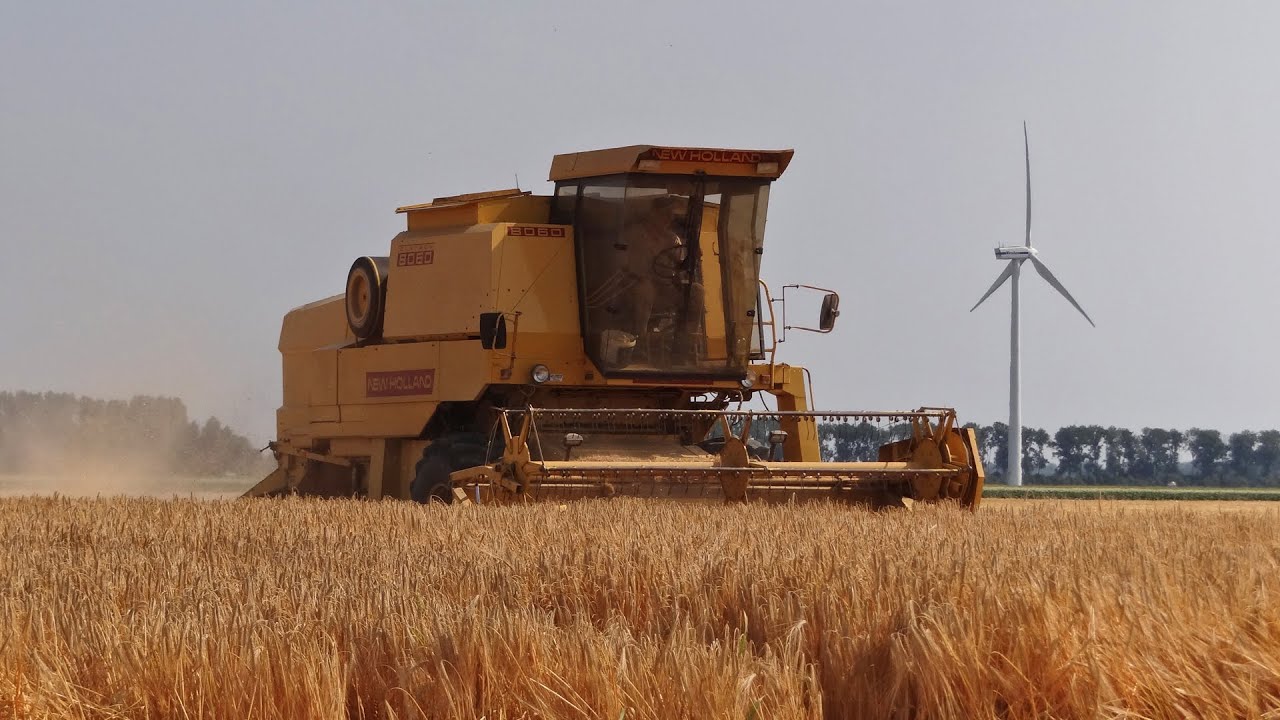 Grain Harvesting | New Holland Clayson 8060 | Flevopolder | Graan dorsen | Holland.
