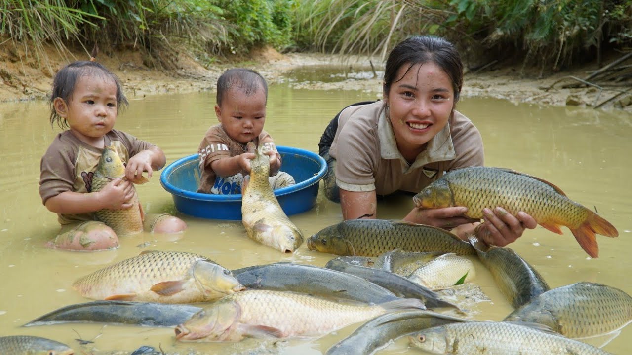 How a single mother harvests giant fish pond potatoes to sell at market