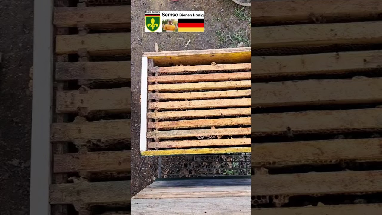 Kontroll 2 09.03.2026 Semso Bienen Honig Deutsch