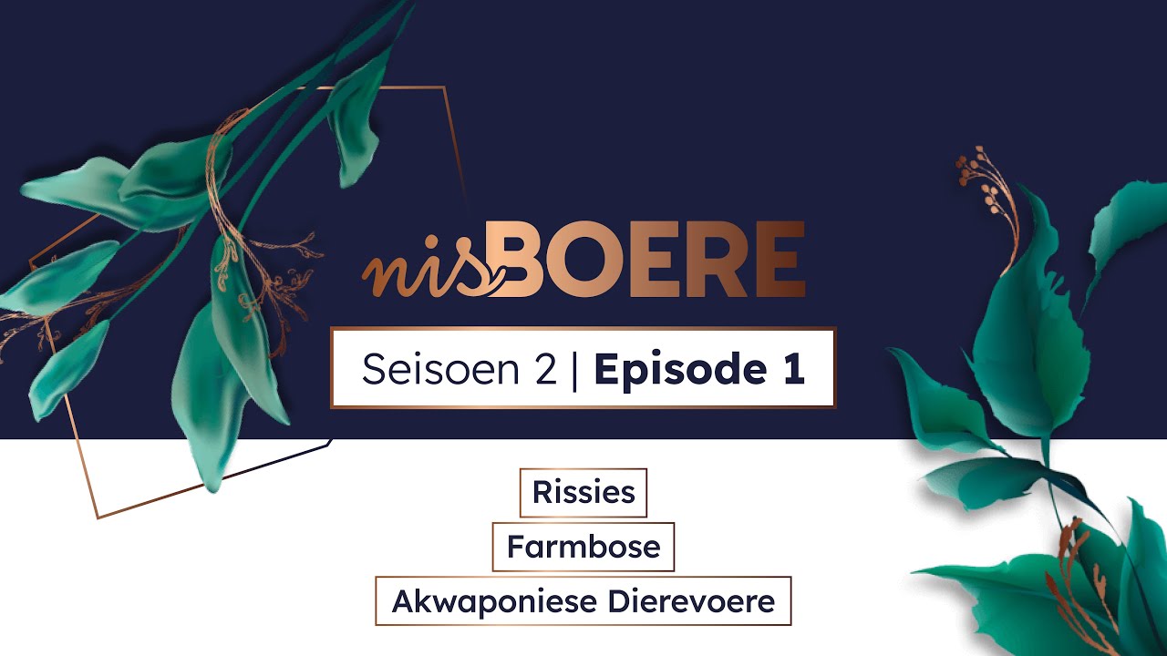 nisBOERE 2 | Episode 1 | Rissies, Farmbose en Akwaponiese Dierevoere
