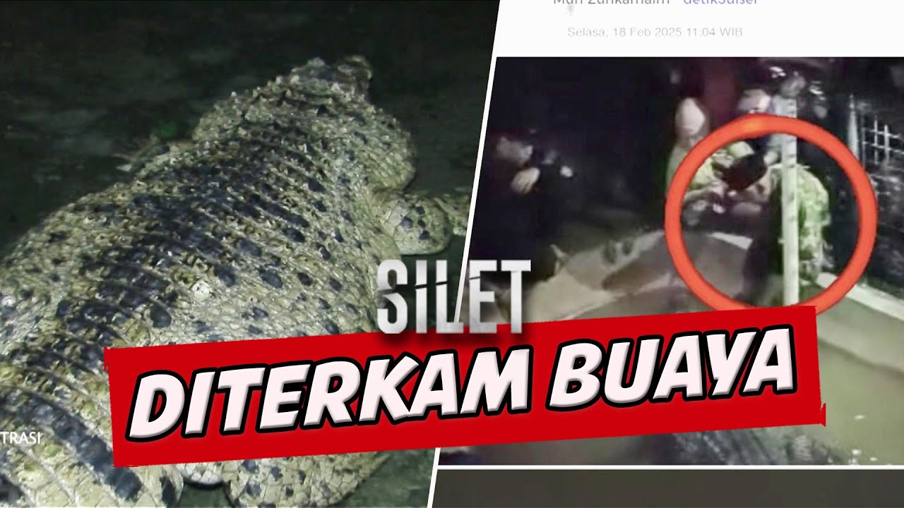 Rekaman Kakek Diterkam Buaya Yang Diakui Sebagai Neneknya, Tangannya Hampir Putus! | SILET