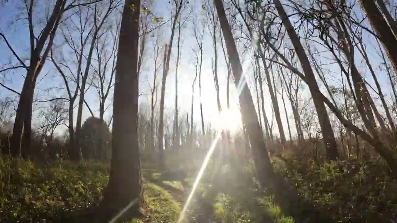 MTB Route Vlaardingen, 8 November 2025