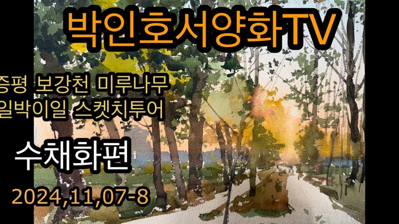 증평 보강천 미루나무 라이브 스켓치 수채화 3편 연속영상 2024,11,7~8일