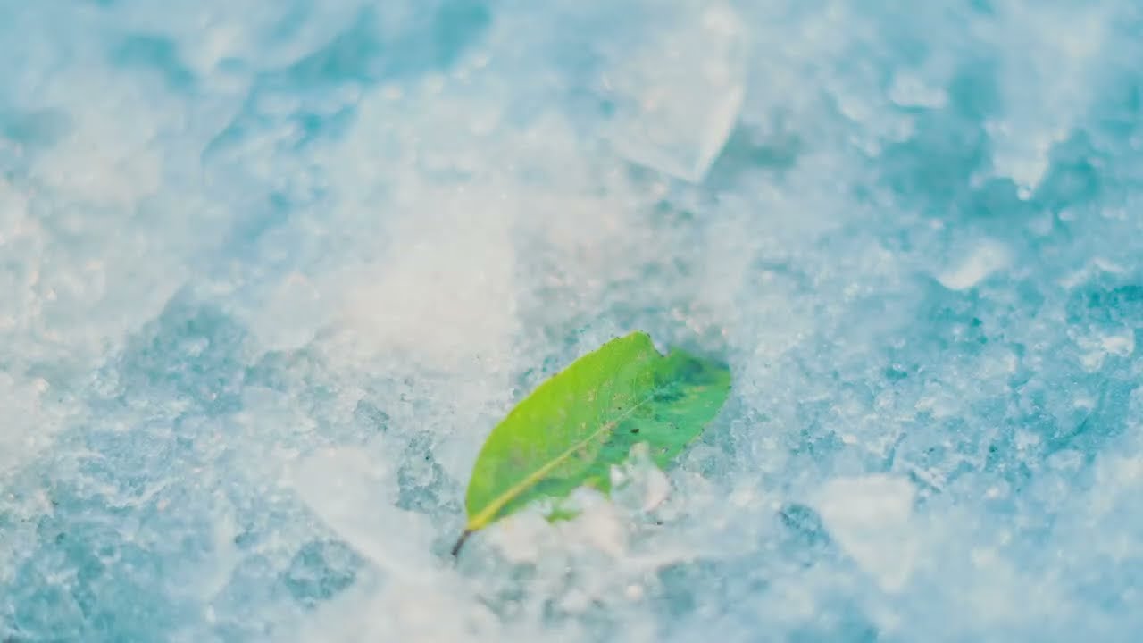 Snow melt