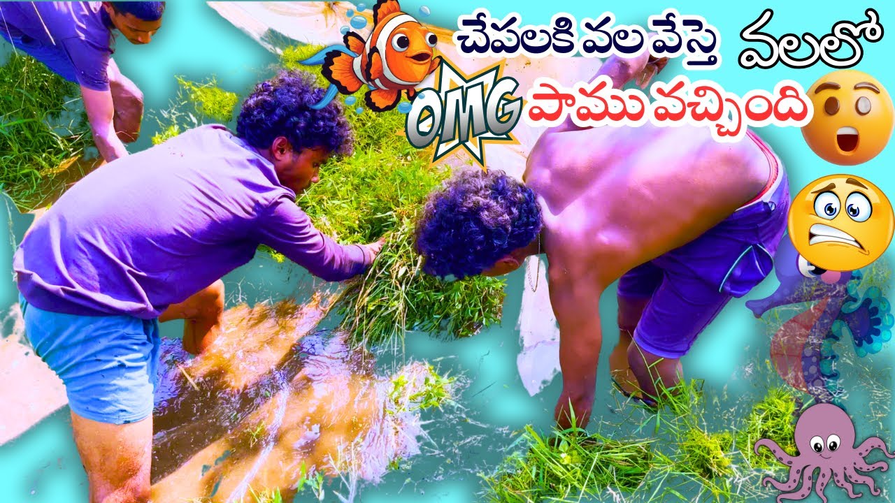 Fresh Stream Fish Curry – Caught from Our Village Fields | Traditional Cooking with Friends