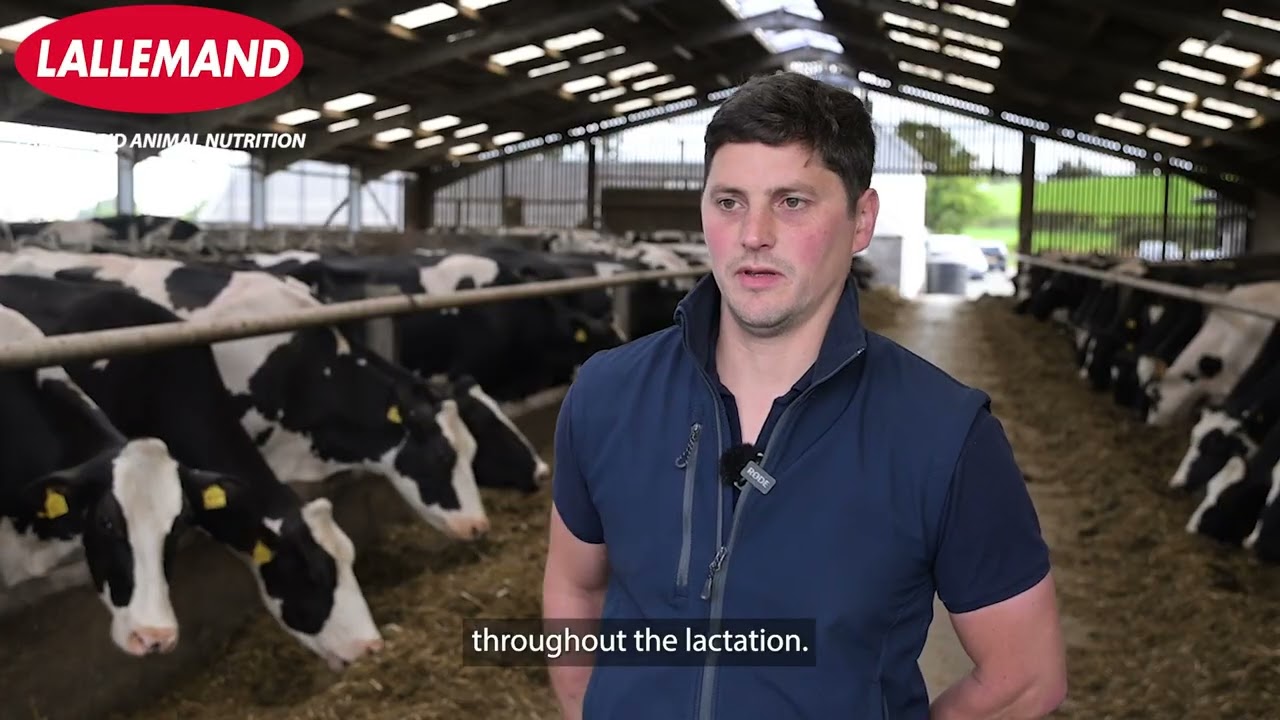 Farmer experience: from calf health to business profitability