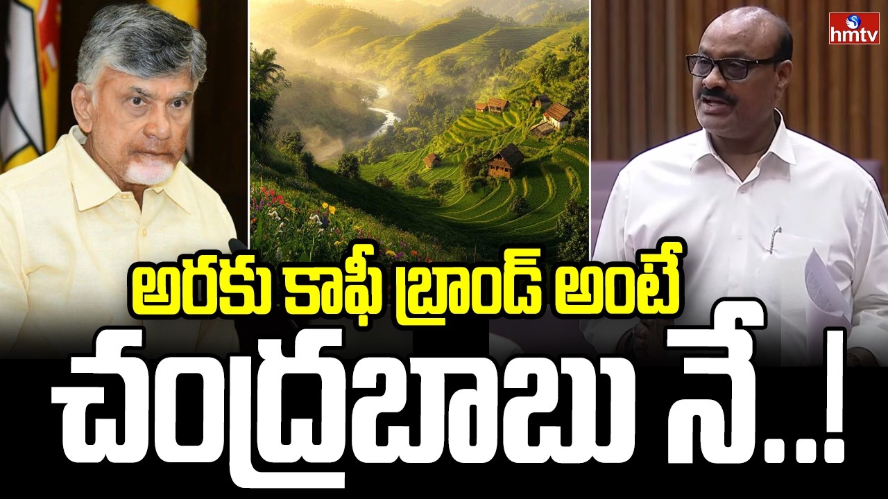 అరకు కాఫీ బ్రాండ్ అంటే చంద్రబాబు నే..! | Minister Atchannaidu On Araku Coffee | hmtv