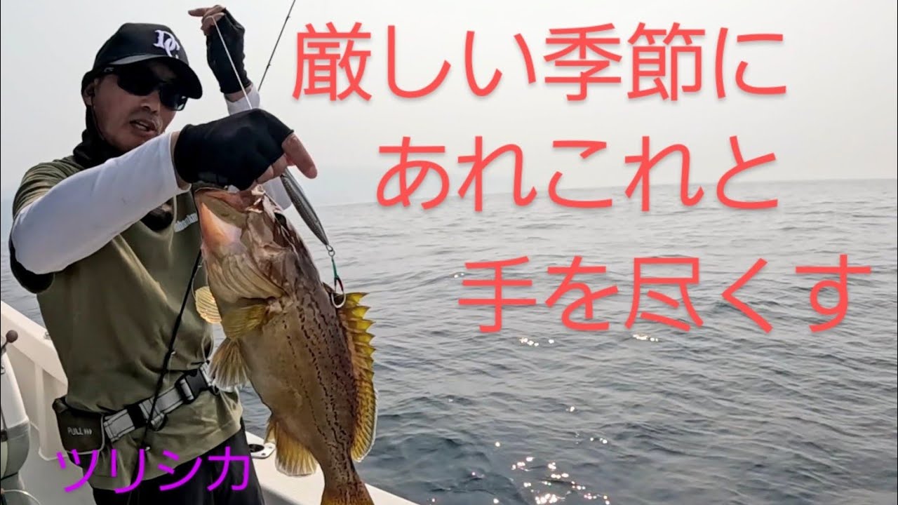 釣らずには帰れないが、この２枚潮にはお手上げかも！　　　　　ツリシカ