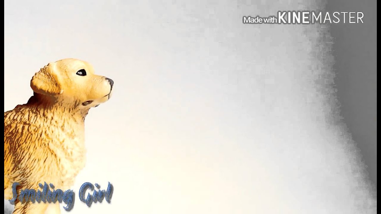 Schleich MV 