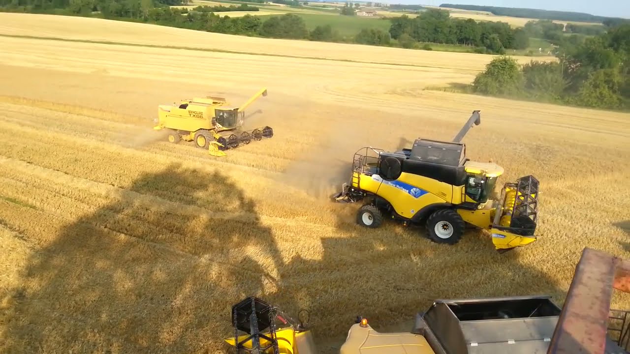Bug'doy o'rimi 2021 New Holland [процесс уборки пшеницы 2021 New Holland]