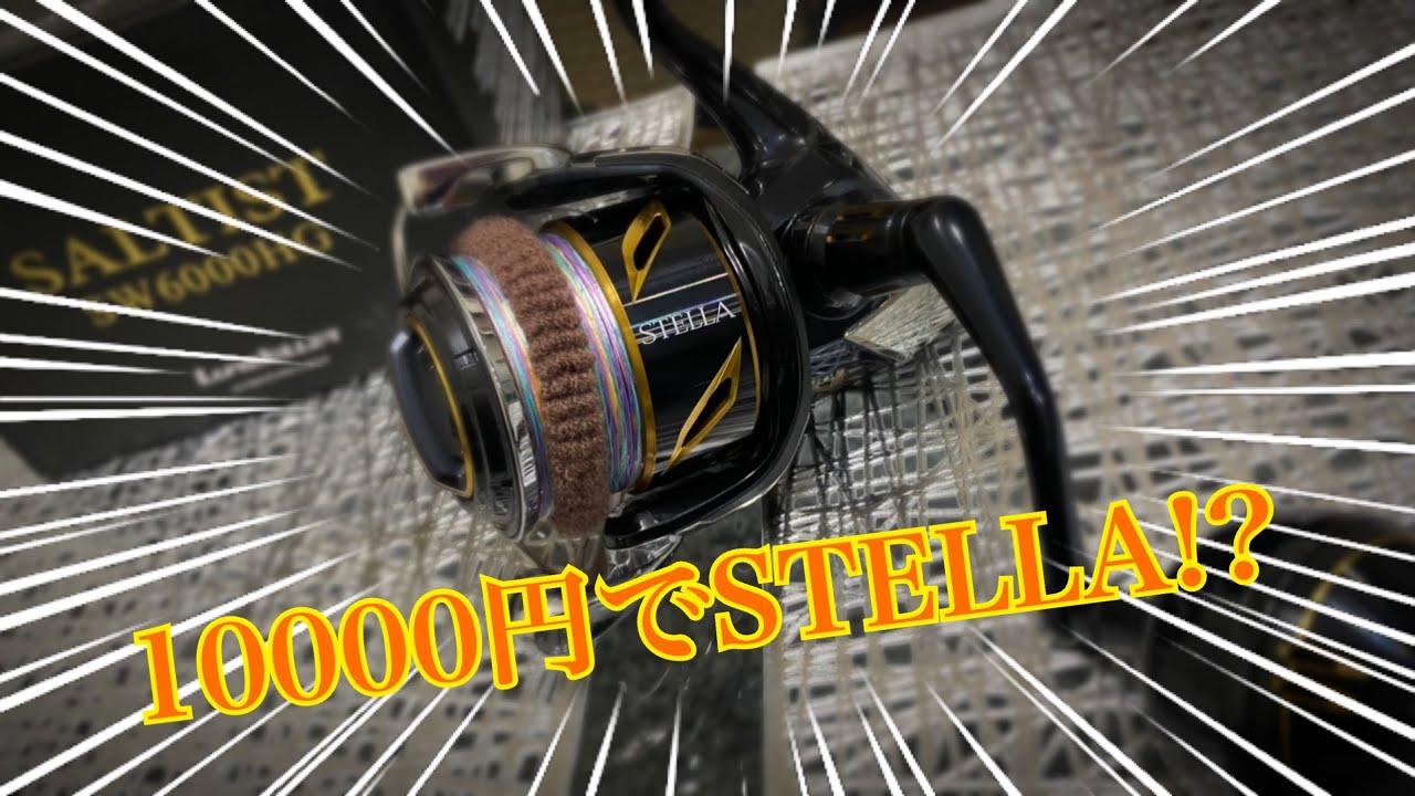 【10000円でSTELLAが買える!?】購入したリールの正体は・・・