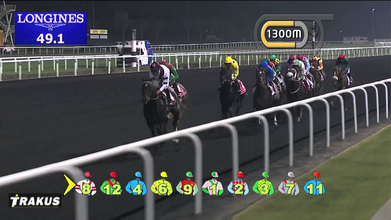 ANIMAL KINGDOM - 2013 Dubai World Cup (G1, 2000m)