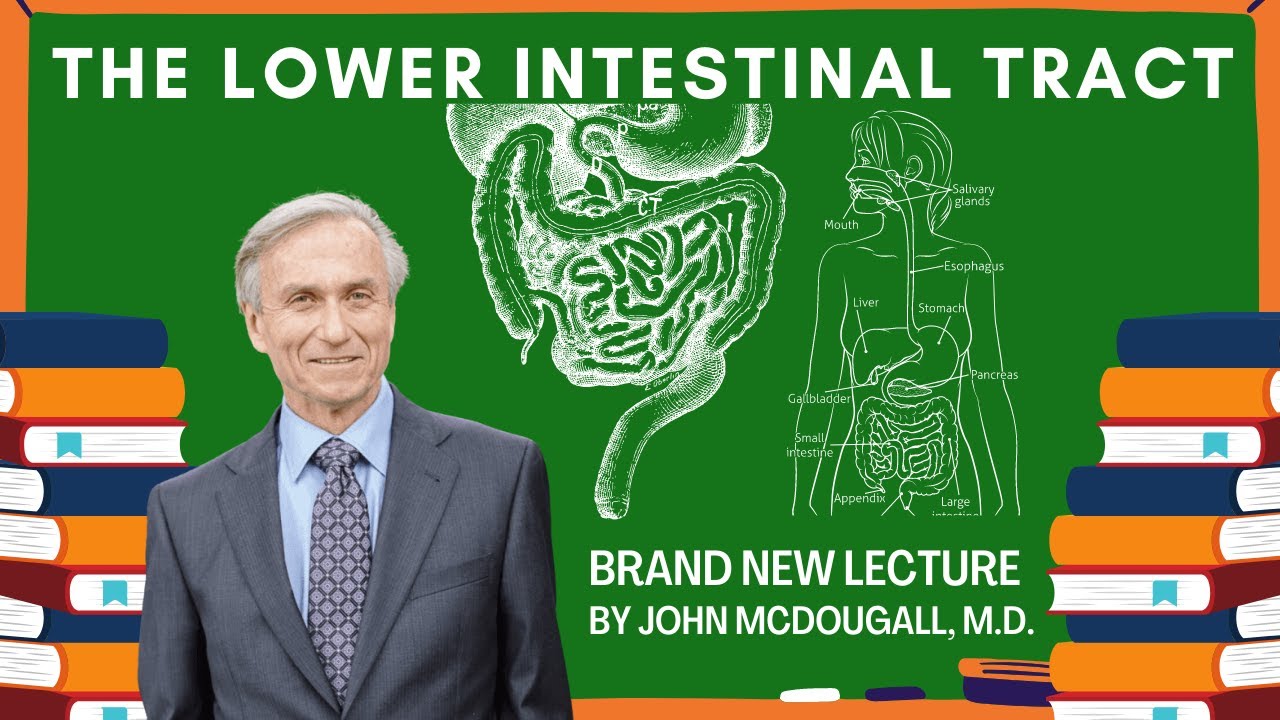 The Lower GI Tract - Brand New Lecture by Dr. John McDougall