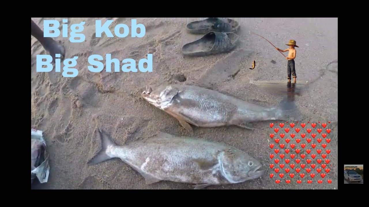 OFFROAD4LIFE, The Greatest Shoal on Earth, Isipingo Beach, 05.08.2022