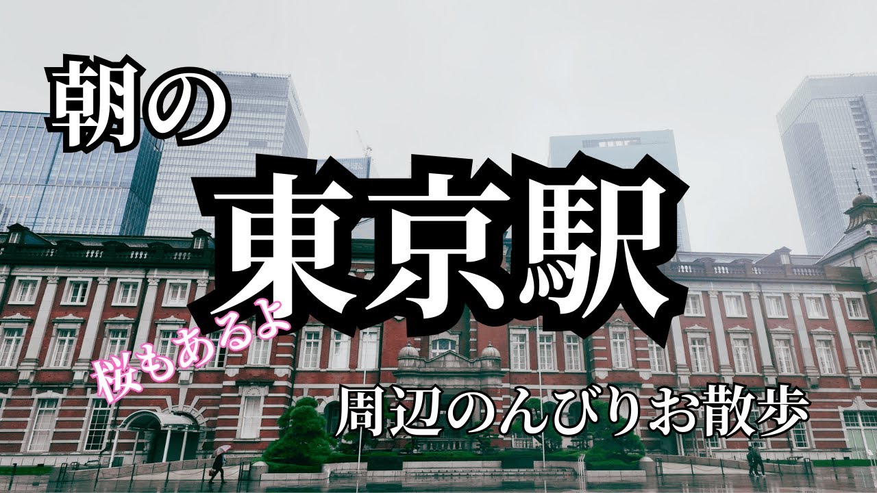 朝の東京駅周辺をのんびりお散歩　桜もあるよ