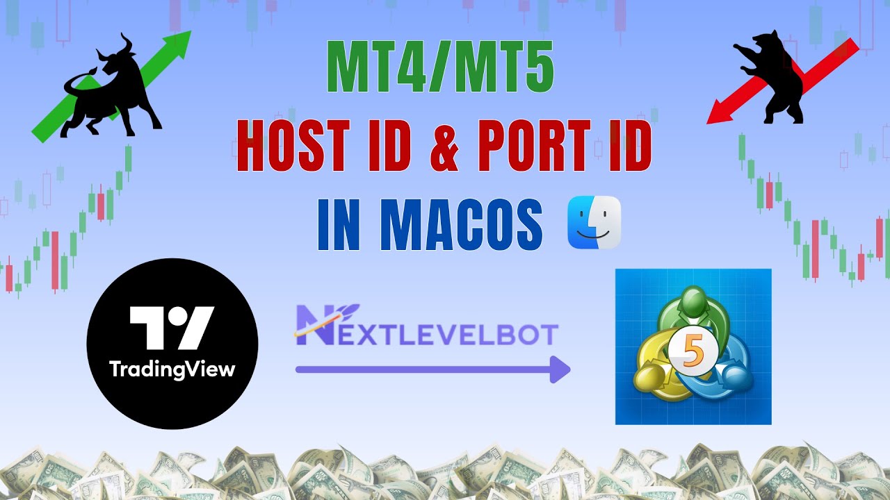 How to Find MT5 Host & Port ID on MacBook | NextLevelBot Setup | 2025