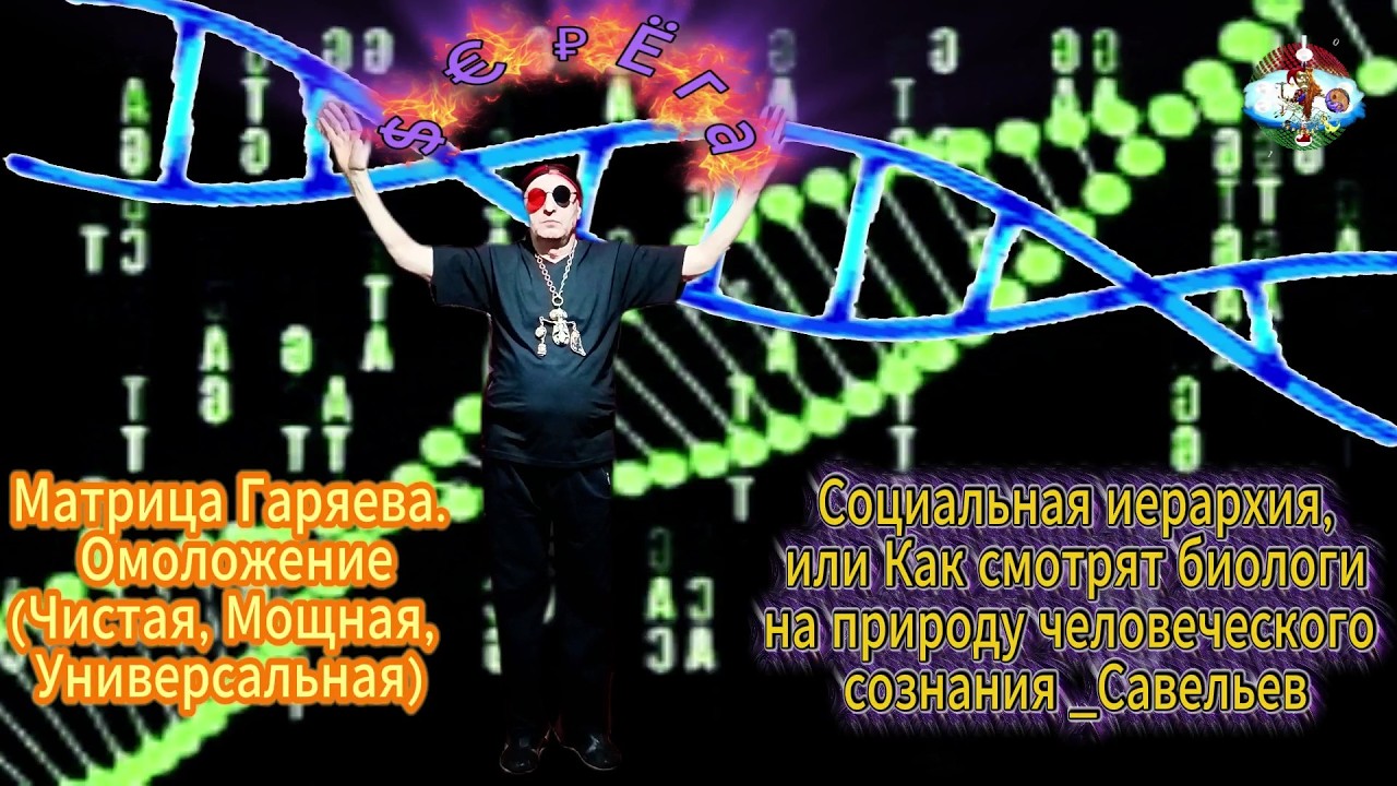 $ € ₽Ёгаॐ Социальная иерархия, Савельев 🧬Матрица Гаряева. Омоложение(Чистая, Мощная, Универсальная)