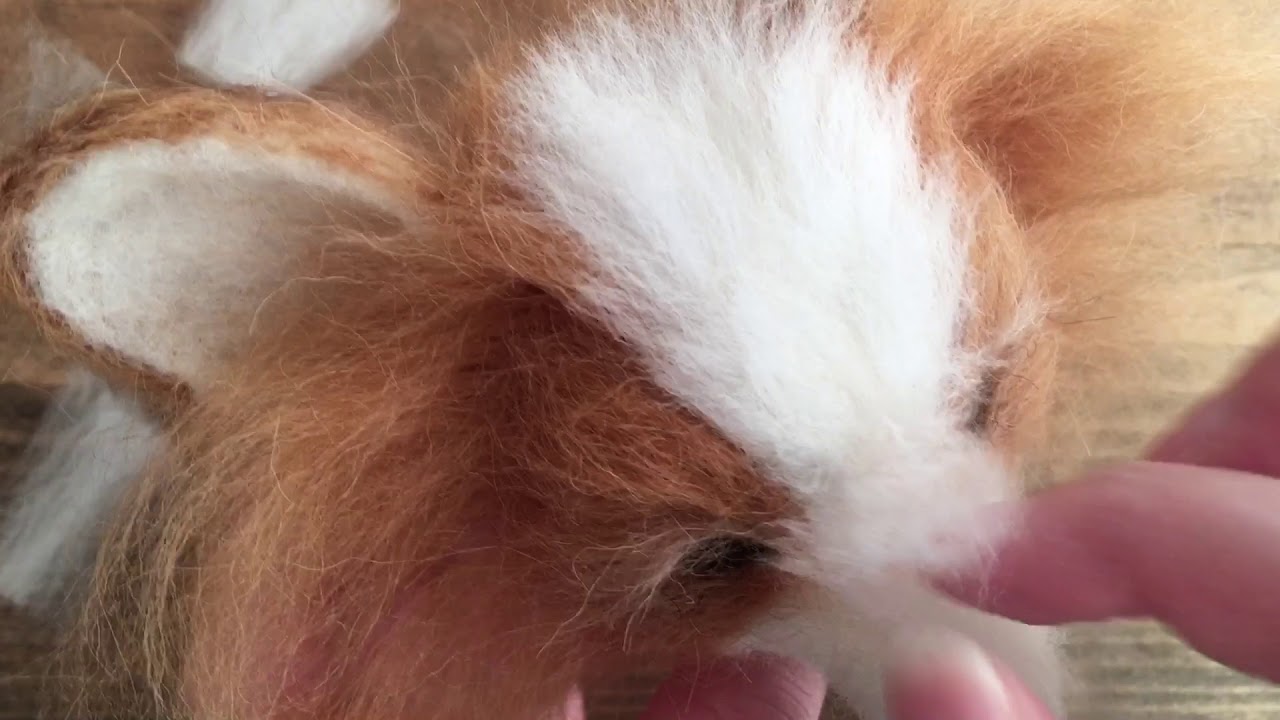 羊毛フェルトで作るリアル パピヨンの作り方