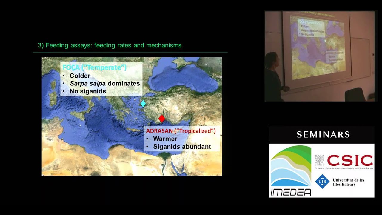 The tropicalization of temperate reefs: a fishy story