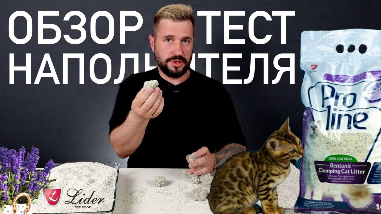 Комкующийся наполнитель для кошачьего туалета ProLine | Обзор и тест наполнителя для лотка