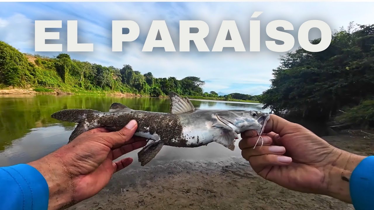 ¡Pescando en un PARAISO del río LEMPA! Sacamos BAGRE y MACHACOTAS