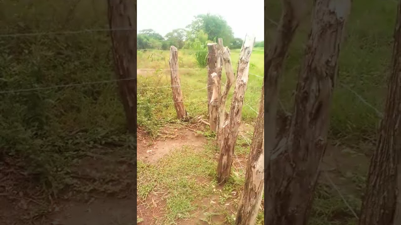 conociendo una hect&aacute;rea de tierra