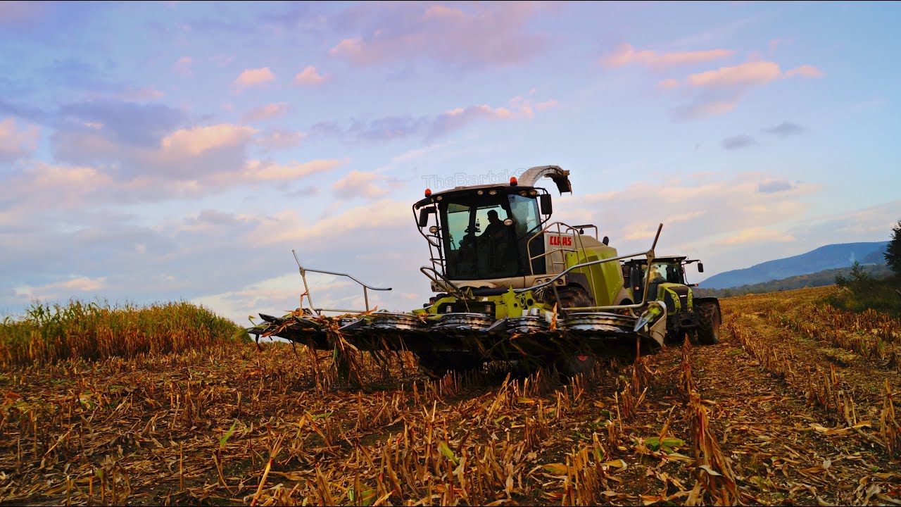 Koszenie kukurydzy 2014 *Świerkot Team*- Claas, Deutz-Fahr