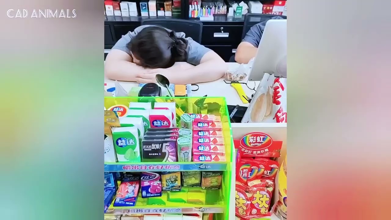 🤣👌👌👌2026 pov Must-Watch Crazy Clips Compilation #humor #fypシ #pov #fyp #foryou 😍😜