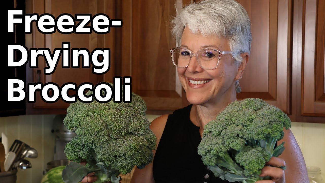 Freeze Drying Broccoli for Two Different Uses - As Ingredient in Recipes and as a Powder