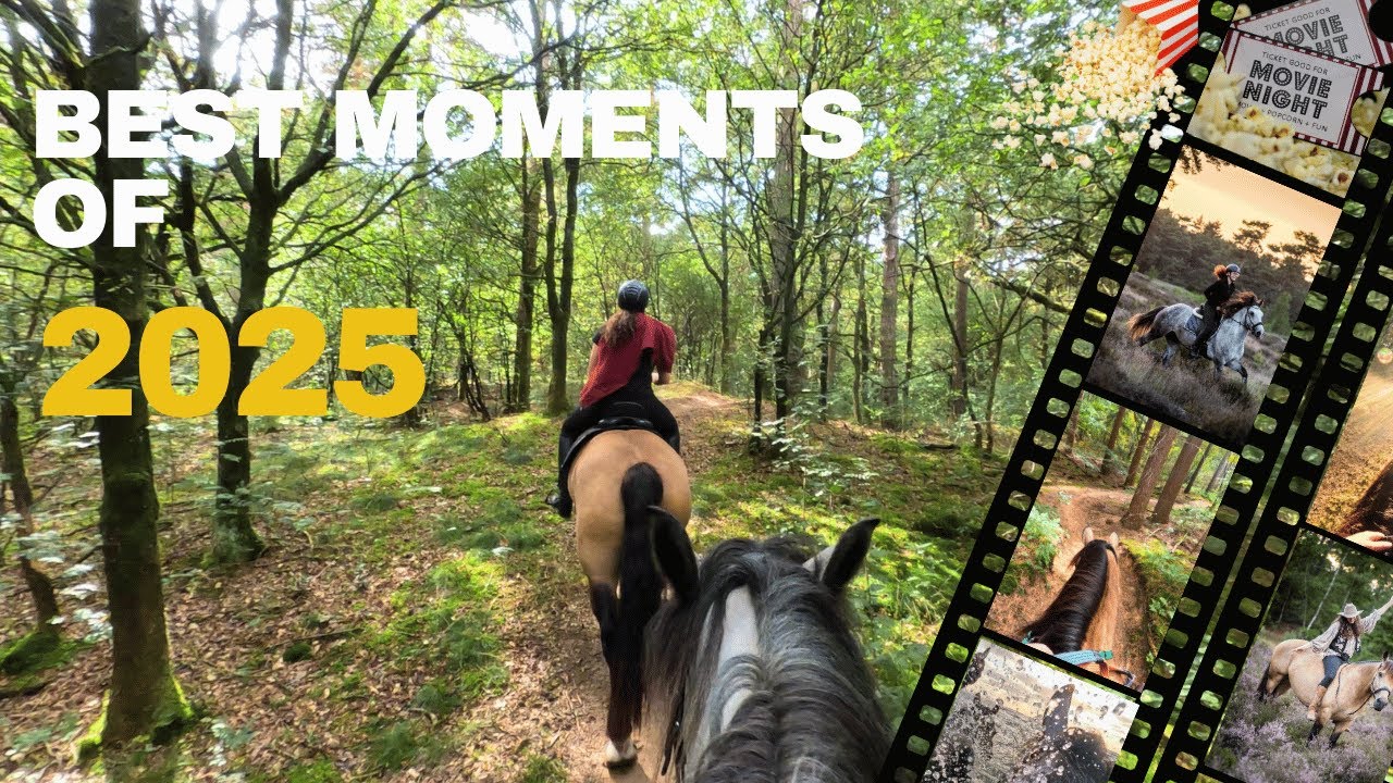 2 Hours of the Best Sunny Trail Rides of 2025 | Relaxing Horse Riding in Nature (ASMR Ambience)