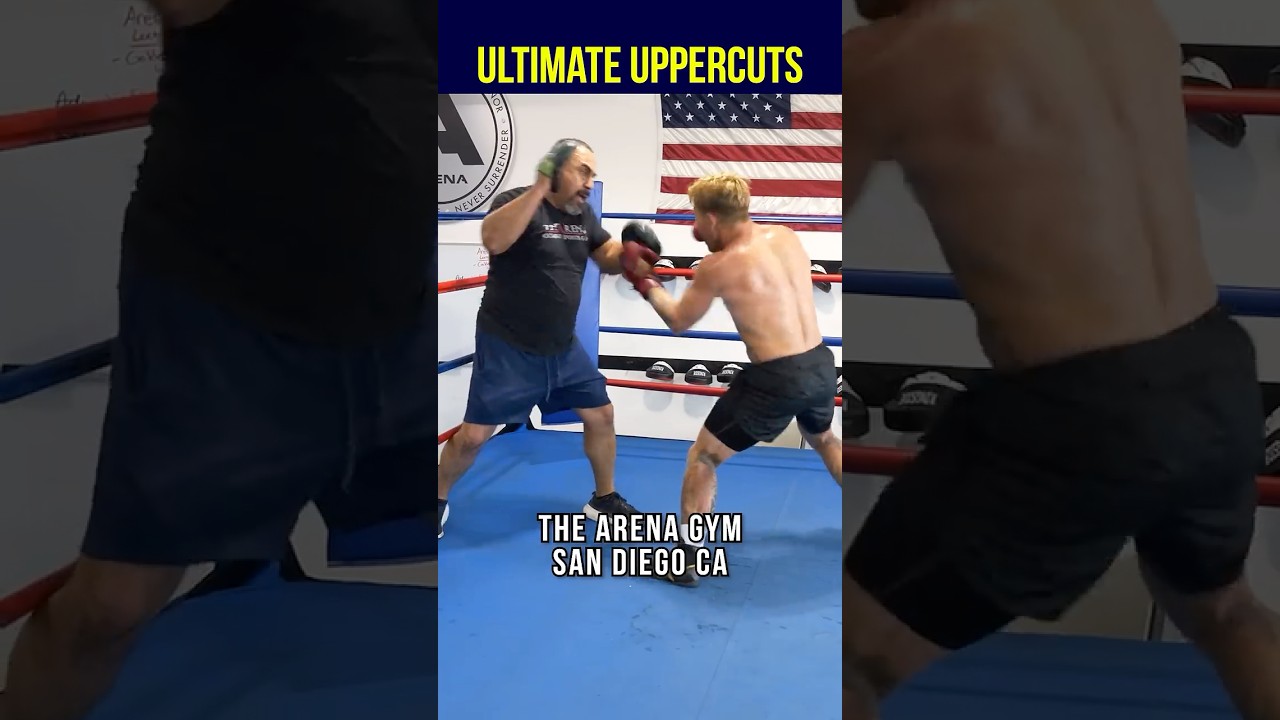 ULTIMATE Boxing Uppercut Drill! #boxing #training #technique #boxeo